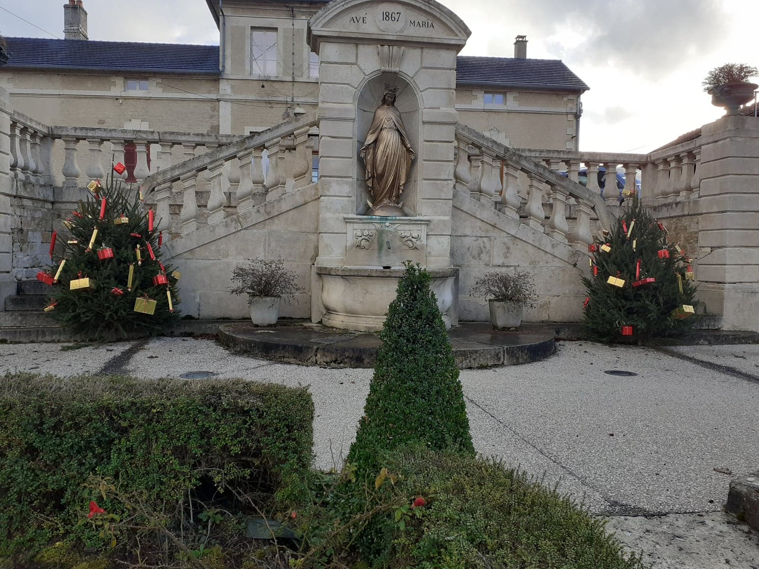 Sapins
