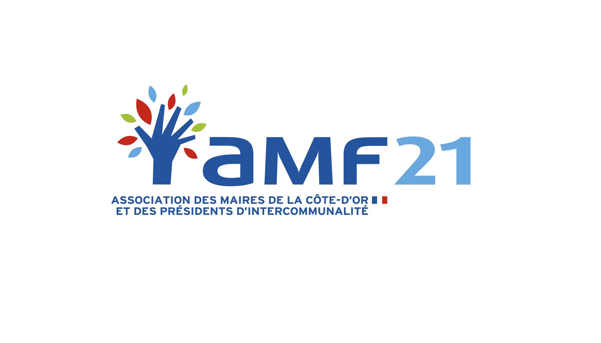amf 21