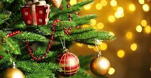sapin 
