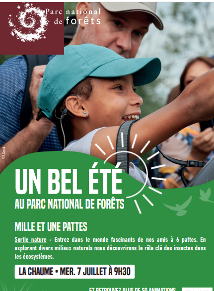 bêtes à 6 pattes 